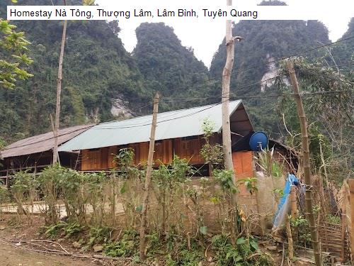 Homestay Nà Tông, Thượng Lâm, Lâm Bình, Tuyên Quang