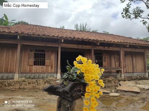 Mắc Cọp Homestay