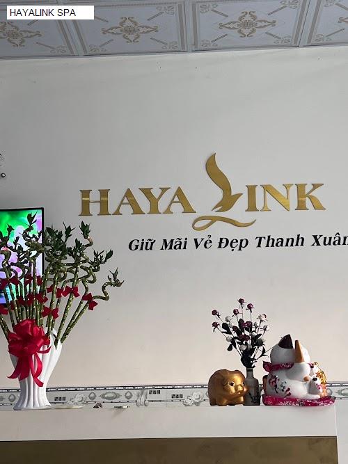 HAYALINK SPA